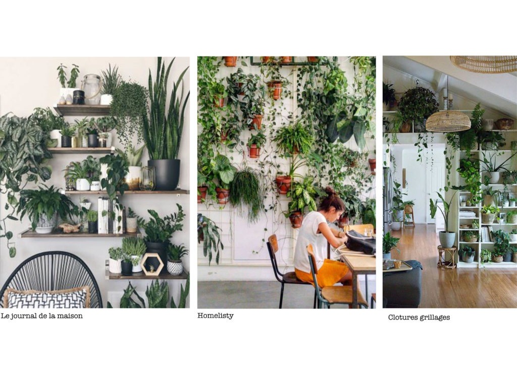 creer un mur vegetal, plantes sur etageres